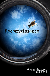 Reconnaissance by Anne Higgins