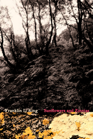 Sunflowers and Zinnias by Franklin L. King